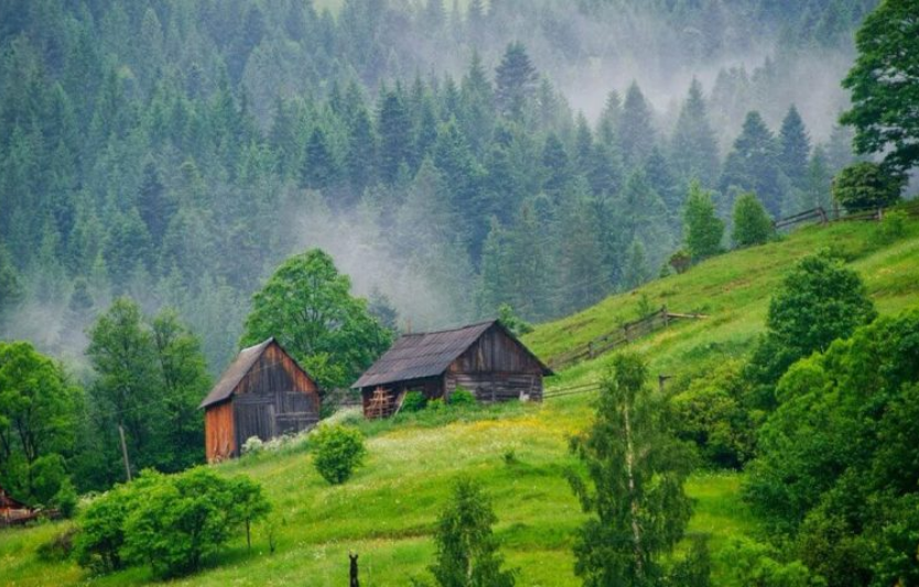 Відпочинок в Карпатах для сімʼї недорого